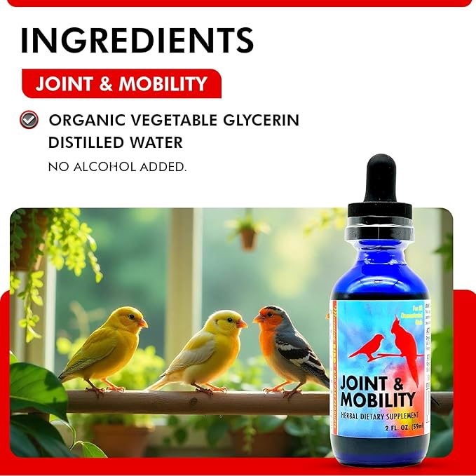 Morning Bird Joint & Mobility 2 fl oz – Herbal Liquid Supplement for Birds – Supports Joint Health, Muscle Comfort & Mobility – Ideal for Aging or Recovering Birds