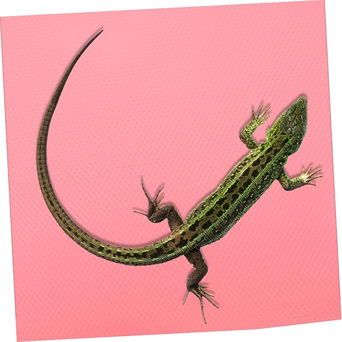 Crested Gecko Tank Accessories Reptile Carpet Bearded Dragon Tank Bedding Washable Terrarium Substrate