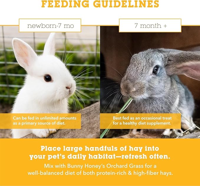Bulk Fresh Alfalfa Hay 80oz by Bunny Honey - USDA Organic Hay for Small Select Pets, Guinea Pigs, Rabbits, Hamsters - Best Cut & Delivered Fresh - Promotes Healthy Digestive Function - 5 Pound