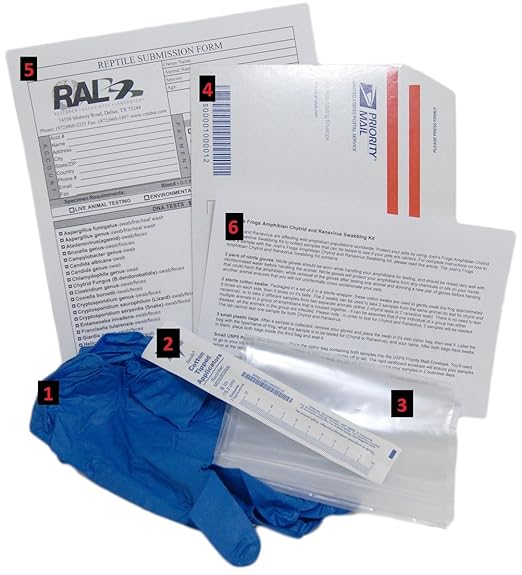 Amphibian Chytrid and Ranavirus Testing Kit