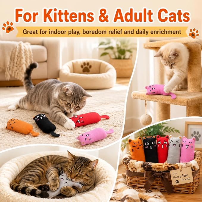 Legendog 5Pcs Bite Resistant Catnip Toy for Cats,Catnip Filled Cartoon Mice Cat Teething Chew Toy - Image 4