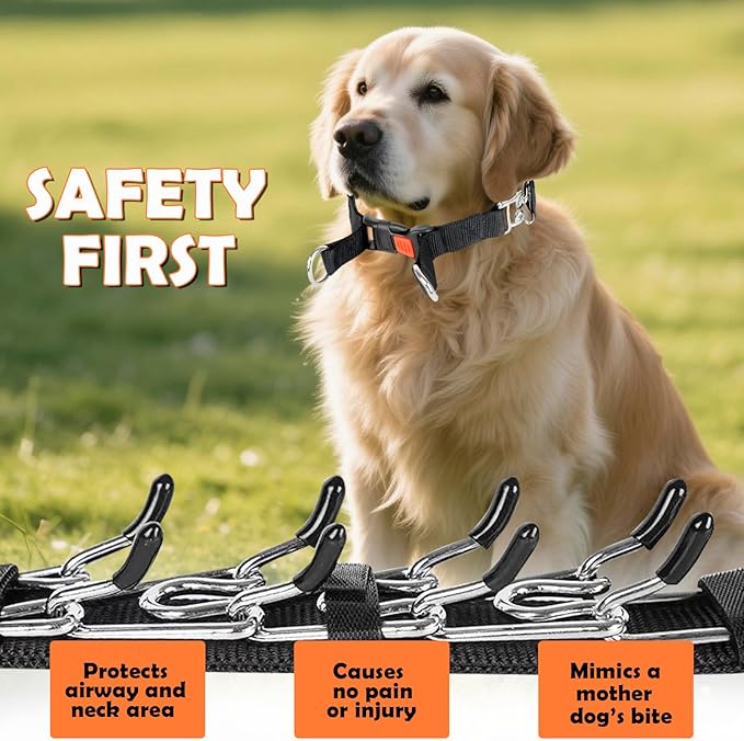 Dog Training Collar, Stainless Steel with Soft Rubber Cap, Adjustable with Quick Release Buckle (S)