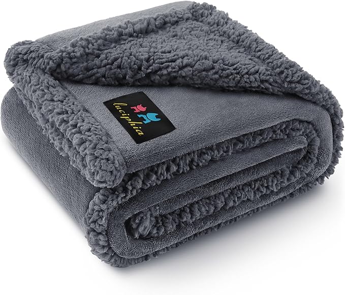 Waterproof Pet Blanket, Liquid Pee Proof Dog Blanket for Sofa Bed Couch, Reversible Sherpa Fleece Furniture Protector Cover for Small Medium Large Dogs Cats, Dark Gray Small???40" x 28"???