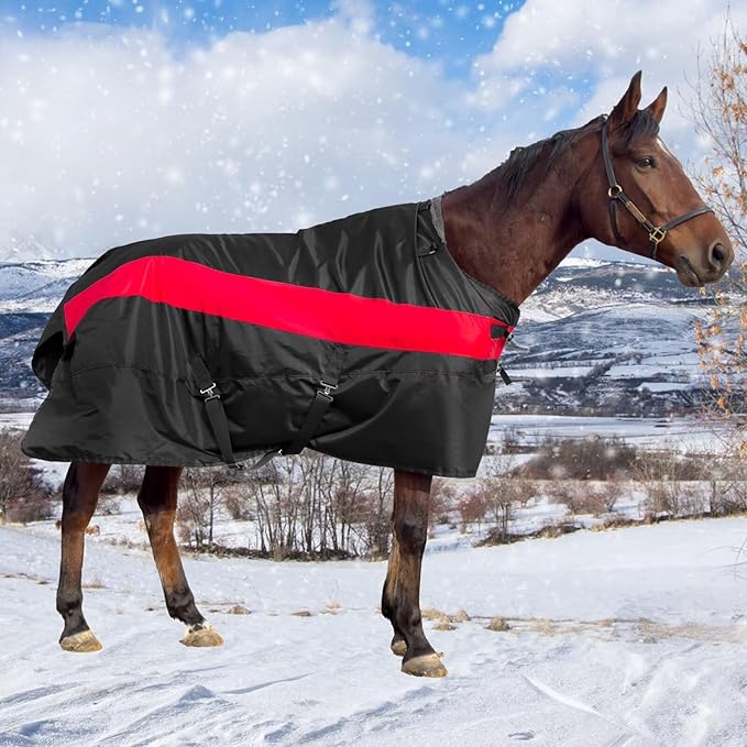 Horse Turnout Blanket,1600D Waterproof Medium Weight Winter Blanket for Horse, (220g Filling) with Detachable Neck Cover, Horse Blanket for Real Horses