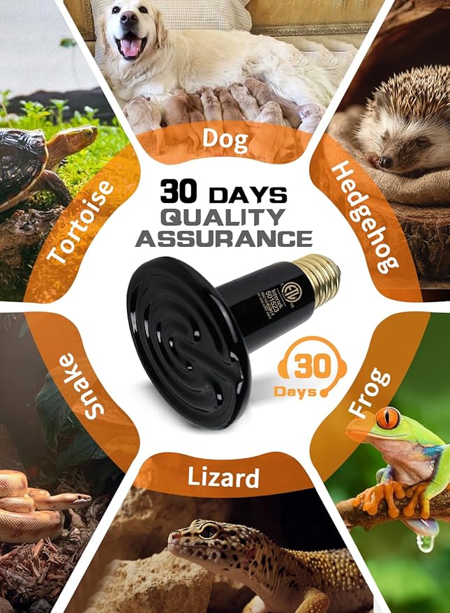 WUHOSTAM Reptile Heat Lamp with Ceramic Heat Emitter - 100W Heat Bulb for Bearded Dragon, Turtle Tank, and Chicken Coop - Infrared Basking Light for Reptiles & Amphibians ETL Listed