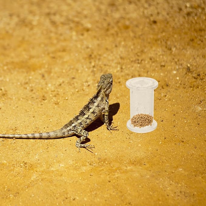 4pcs Bearded Dragon Enrichment Toys, Reptile Feeding Accessories, Transparent Plastic Reptile Rolling Interactive Feeding Toy for Leopard Gecko, Crested Gecko