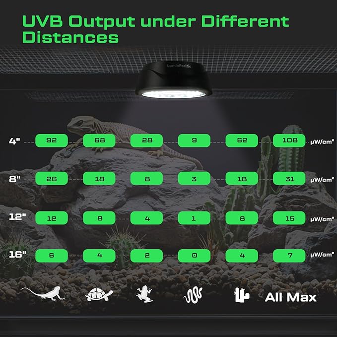UVB Reptiles Light with Remote, UVA UVB FR Lamp for Rainforest & Desert Reptiles, Ferguson Zones 1-4, Timer Switch, 10 Dimmable, for Bearded Dragon, Turtle, Frog, Snake, Plant (1 Pack)