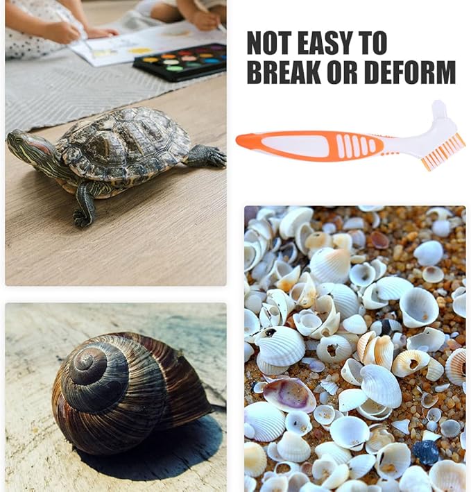 COHEALI 3pcs Turtle Shell Cleaning Brush Set Mud Removal Tool for Aquatic Tortoises and Turtles with Sturdy Bristles, Reusable Aquarium Scrub Brushes for Pet Reptile Health Maintenance