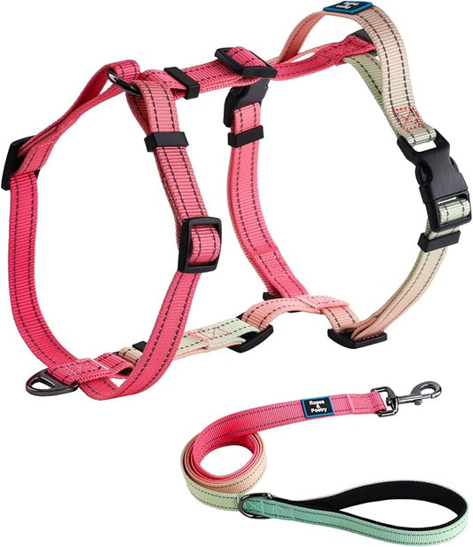 Roses&Poetry Puppy Dog Harness and Leash Set, No Pull Dog Harness Adjustable Reflective, Dog Halter Harnesses Comfort Padded Handle, Pet Harness for Training Outdoor Walking（Pink-S
