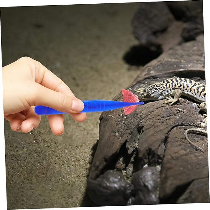 ORFOFE 6pcs Reptiles Feeding Tweezer Set Plastic Feeding Clamp for Lizards and Frogs Curved and Straight Design for Easy Handling of Reptile Food