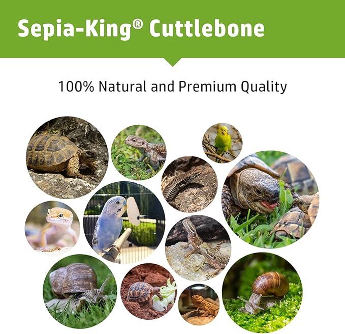 Sepia King - Crushed - 100% Natural Calcium Supplement - Premium Cuttlebone Perfect for Birds, Tortoises, Snails, Reptiles - 3.5 oz
