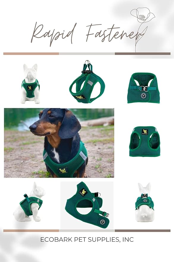 EcoBark Step in Dog Harness - Eco-Friendly Dog Harnesses for for Small & Medium Breed Dogs - Reflective and Adjustable Chest Body Halter Vest -Soft Luxurious Mesh (Forest Green, XL)