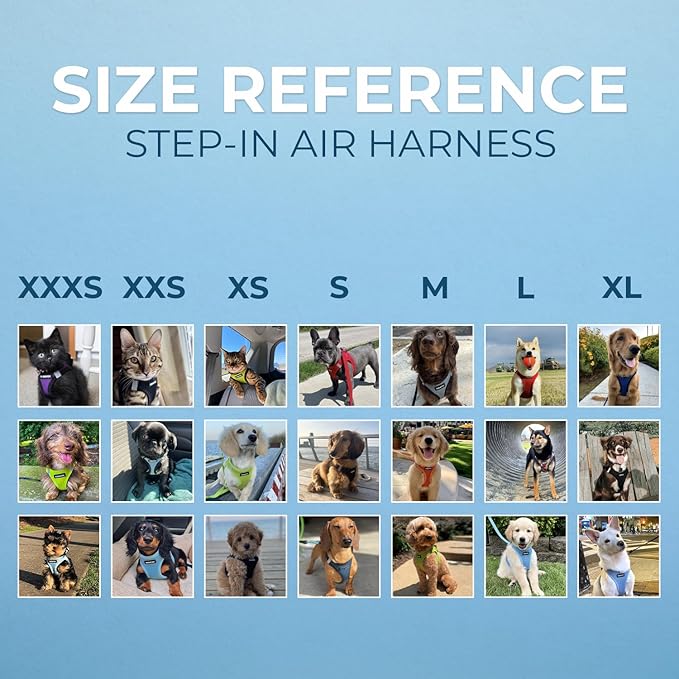 Best Pet Supplies Voyager Step-in Air Harness - All Weather Mesh, Reflective, No Pull Harness for Dogs, Cats - Secure with Hook & Loop Fastener, Buckle, Double D-Rings - Black, XL