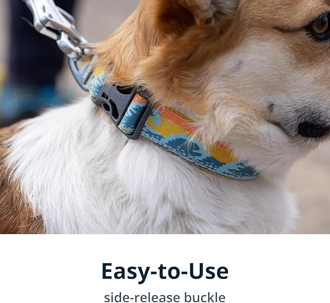 Ruffwear, Crag Dog Collar, Stylish Adventure Collar with Premium Reflective Design, Quick Release Buckle, Lightweight All-Day Comfort, Rising Wave, 20"-26"