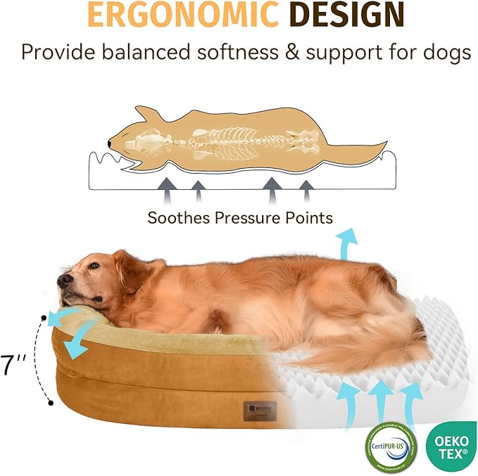 Orthopedic Dog Bed for Medium Dogs, Waterproof Dog Bed with Removable Bolsters, Egg Crate Foam Pet Couch for Medium Size Dog with Machine Washable Cover & Non-Slip Bottom, Orange