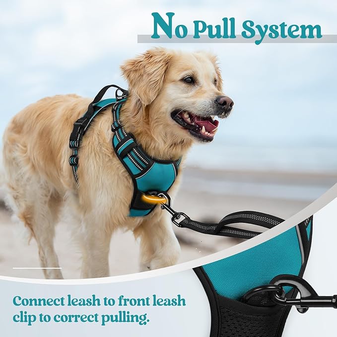 rabbitgoo Dog Harness No Pull with 2 Leash Clips, Adjustable Soft Padded, Reflective Oxford No Choke Pet Vest with Easy Control Handle for Small Dogs, Teal, S