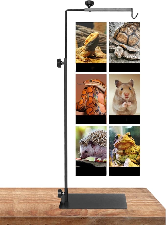 Adjustable Reptile Lamp Stand, Reptile Heat Light Stand with Card Slot Design, Metal Terrarium Basking Lamp Holder for Lizards Turtles Snakes Amphibians