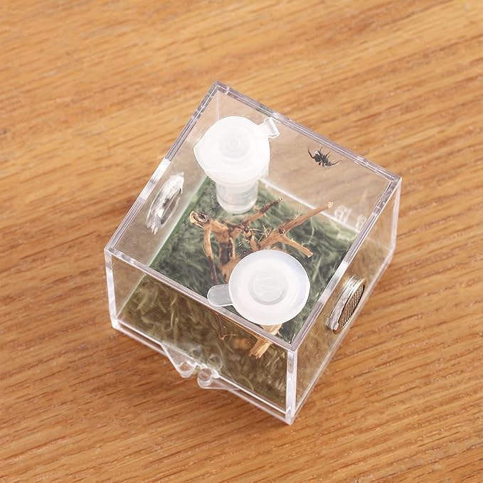 crapelles Jumping Spider Micro Big Habitat, Small Pet Insect Breeding Box, 360 Degree High Transparent Reptile Cage, Acrylic Case Mini Carrier for Amphibians, Feeding Container Enclosure Accessories