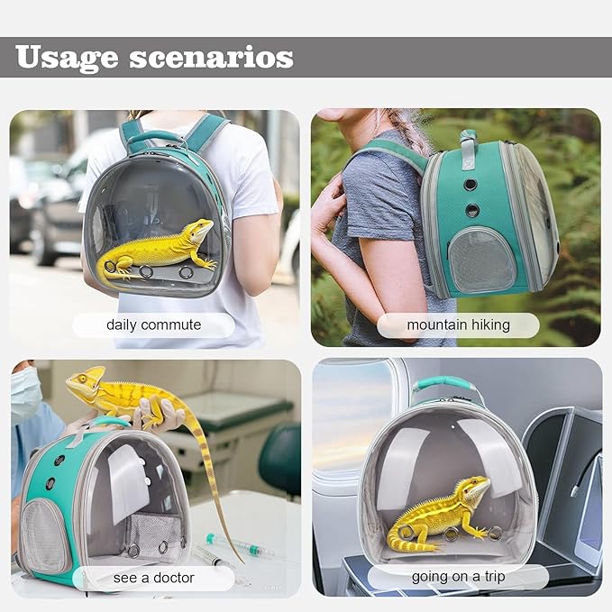 WEVONIGU Expandable Small Animal Backpack Carrier with Clear Bubble Window Large Space Travel Cage for Hedgehog Rat Parrot,Bearded Dragon,Sugar Glider,Airline Approved (Green, BE Backpack)