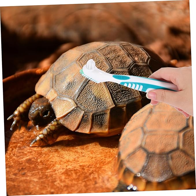 2pcs Turtle Shell Brush Double Sided Cleaning Tool for Aquatic Turtles Tortoises Non Slip Handle for Easy Use Keep Shells Clean Healthy