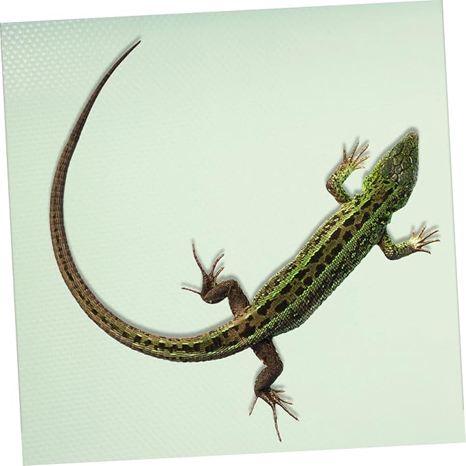 Reptile Carpet for Leopard Geckos Bearded Dragons Snakes Turtles Substrate Mat for Terrariums Non-Toxic Bedding Easy Clean Features