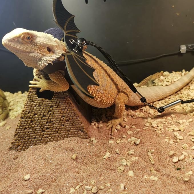 Bearded Dragon Leash and Lizard Harness Adjustable (S,M,L,3 Size) Leather Wing Lizard Iguanas Leash Geckos Reptile for Amphibians Small Pet Animals Gold