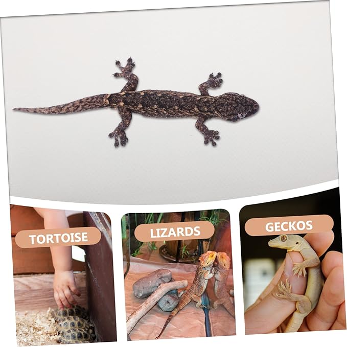 Leopard Gecko Tank Reptile Bedding Terrarium Carpet Snake Terrarium Bedding Bearded Dragon Accessories