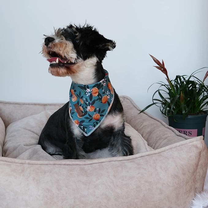 Summer Dog Bandana, Comfortable Cotton Triangle Bid Scarf for Puppy Small Dog, Washable Pet Kerchief for Girl Boy Dogs or Cats, Peach Dogs Bandanas, Cute Classic Puppy Bid Scarf, Green
