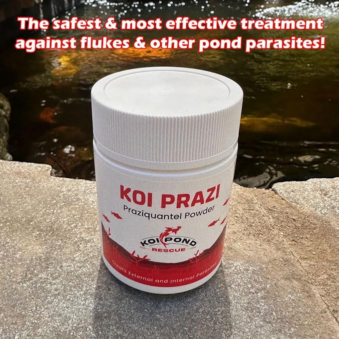 Generic KOI PRAZI (100 Grams) Praziquantel Powder for Pond & Aquarium, Effective Fish Treatment for Flukes & Bacterial Infections in Koi and Ornamental Fish, White