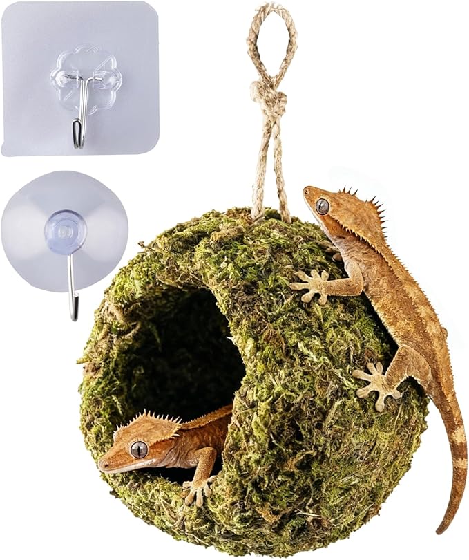 Handmade Crested Gecko Tank Accessories – Bearded Dragon Accessories, Reptile Hideout, Hermit Crab and Small Reptile Habitat 4.7×3.5×9in