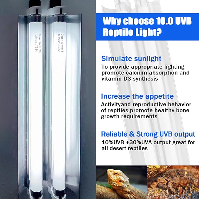 Celiwace T5 Reptile Light Fixture Combo Kit 16 Watts, 12 Inches UVB Light 2x8 Watt, T5 10.0 UVB Reptile Light Fixture, Desert Reptile Light for Lizard, Bearded Dragon, Tortoise
