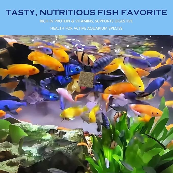 Freeze Dried Tubifex Worms Cubes 3.5 oz – High Protein Floating Fish Food Treat for Betta, Discus, Cichlids, Tropical Fish, Goldfish, Koi & Turtles