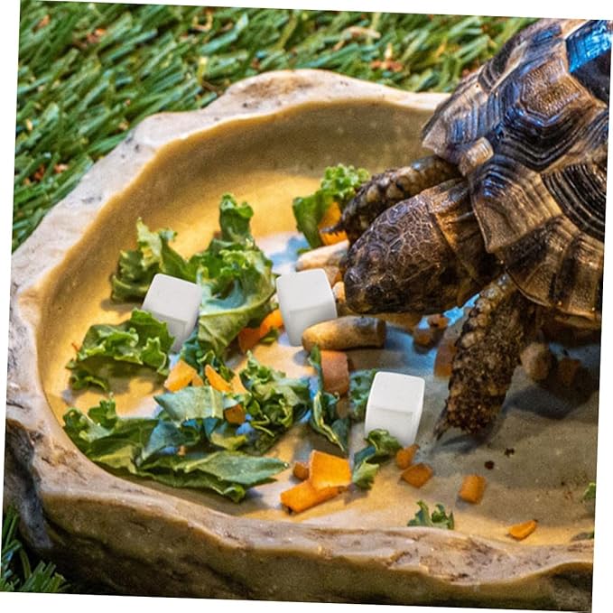 Happyyami 30pcs Natural Mineral Calcium Blocks for Turtles Tortoises Lizards Frogs Chameleons Enhances Water Stability Supports Growth and Versatile Reptile Amphibian Care