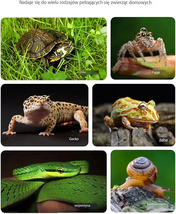 Turtle Water Enclosure | Turtle Pool | Turtle Swimming Pool | Turtle Habitat | Turtle Water Enclosure |Turtle Soaking Pool | Turtle Pool | Turtle Water Feature | Aquatic Turtle Pool | Turtle bask
