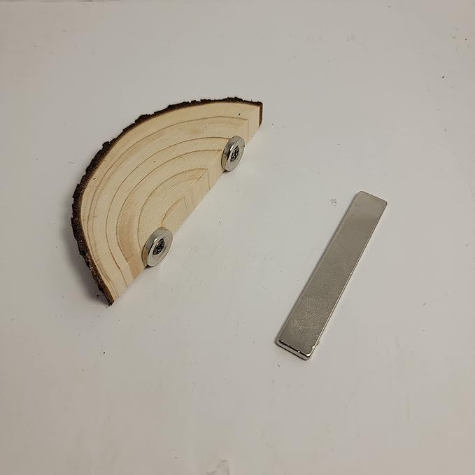 1 pc. Magnetic Arboreal Ledge | Jumping Spider Ledge | The Critters Cave (Stronger But Longer: Larger External Magnets)