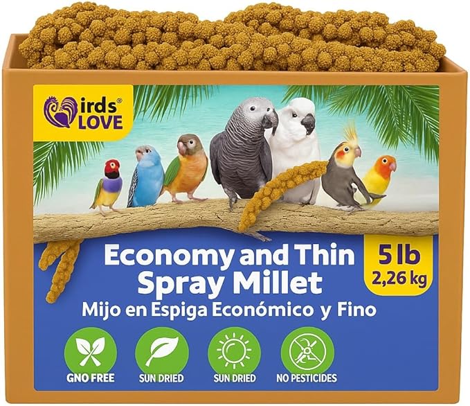 5lbs Economy & Special Spray Millet for Birds – GMO-Free, No Stems (Only Edible Tops) – 100% Natural Sun-Dried Foraging Treat for Cockatiels, Lovebirds, Parakeets, Finches & Canaries