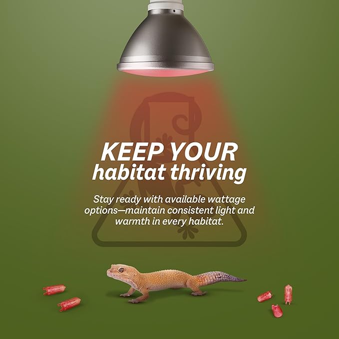 Reptile Systems Eco Halogen – Red 100w – Lamp for Reptiles & Amphibians – Light for Tanks, Vivariums & Crested Geckos