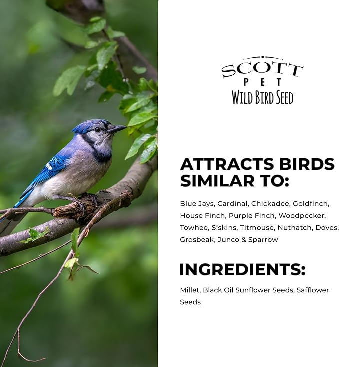 Scott Pet Wild Bird Seed, Superior Blend, 9 lbs Bag, No Corn, Feed, Great for All Feeder Types, Food for Outside Wild Birds