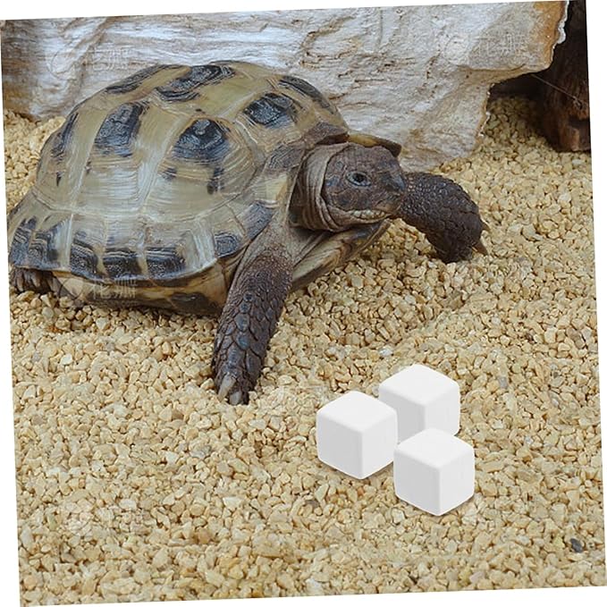 TOYANDONA 12pcs Reptile Natural Blocks for Crab and Reptile Habitats Essential Supplement Healthy Enclosure Accessories for