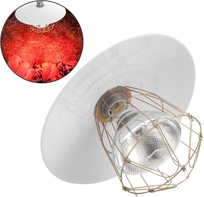 LIOOBO Poultry Heat Lamp Set Heat Lamp Heater for Chickens Pigs Reptiles Pet Warming Light Safe
