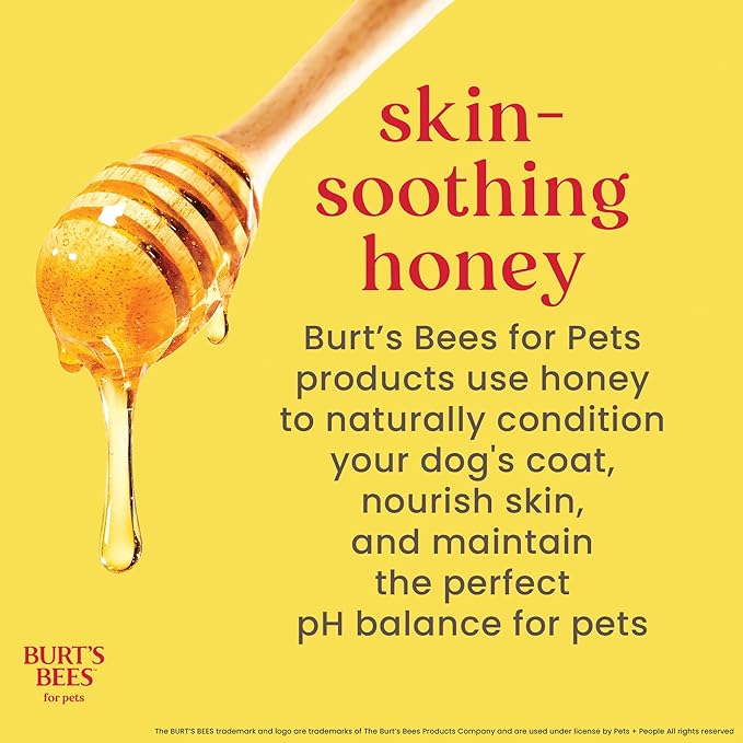 Burt’s Bees for Pets Oatmeal Dog Shampoo with Honey, Soothing Dog Shampoo for Itchy and Sensitive Skin, pH Balanced Formula that Gently Cleans and Moisturizes Dog Coats, 32 Fl Oz - 2 Pack