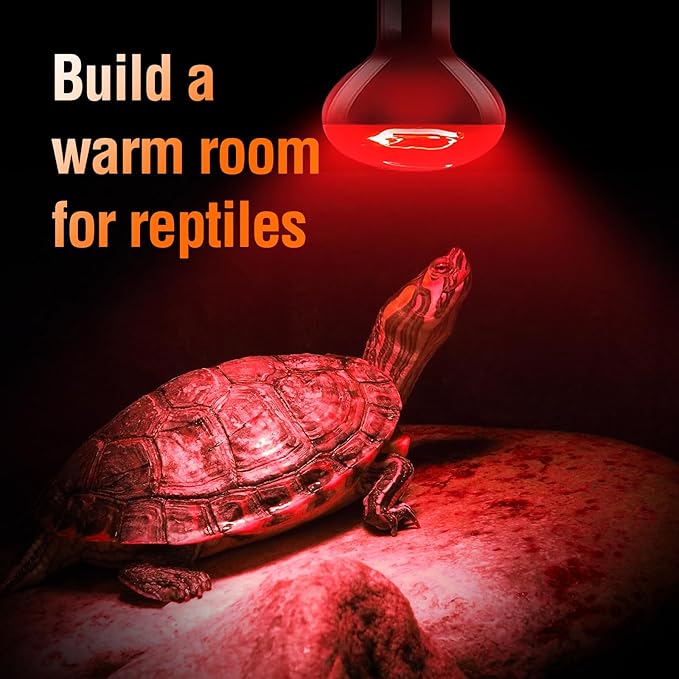 Leoterra 75W Red Infrared Night Heat Lamp Fits 20-40 Gallon Tank (2 Pack)- Thickened Glass 2000+ Hours Long Life for Bearded Dragon,Ball Pythons, Snake, Turtle, E26 110V