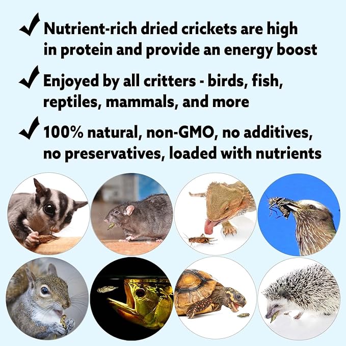 Dried Crickets (2.2 lb.) - High Protein Insect Treat - Chickens, Wild Birds, Hedgehogs, Bluebirds, Reptiles, Sugar Gliders, Opossums, Skunks, Lizards, Bearded Dragons, Fish, Amphibians, Turtles