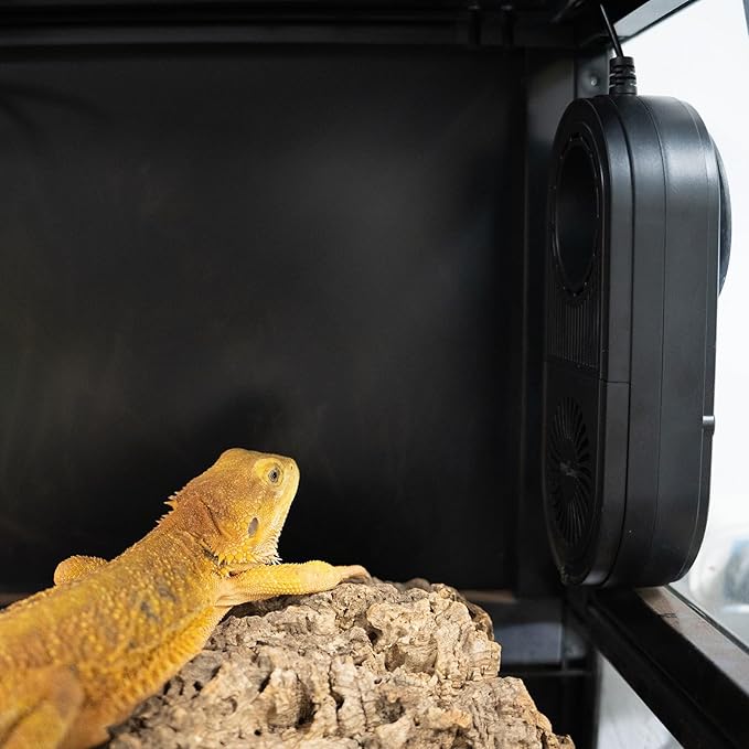 REPTI ZOO Reptile Glass Terrarium Air Purifier, Carbon Filter Reptile Air Cleaner bearded dragon tank accessories for reptile tank, Bearded dragon, Lizard, Tortoise, Snake