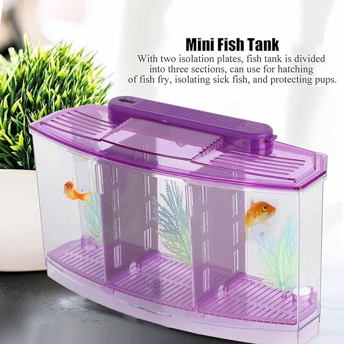 2 Betta Fish Tank With Divider, Aquarium Fish LED Acrylic Three Divisions Breeding Isolation Box for Small Fishes Aquarium Fish ()