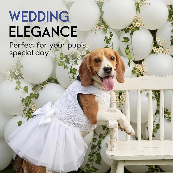 ASENKU Dog Dress Pet Wedding Dress Princess Lace Puppy Birthday Party Outfit Formal Apparel Girl for Small Medium Dogs Cats (XX-Small, White)