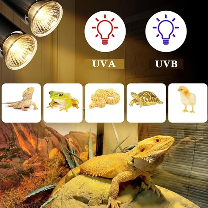 UVA+UVB 25/50/75W Reptile Heat Basking Light Bulb Lamp for Reptiles (25W - 20PCS)