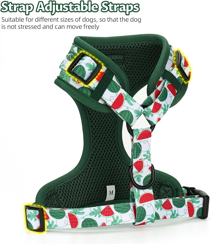 Dog Harness and Leash Set, Adjustable Dog Harness, Dog Leash, No Pull No Choke Puppy Harnesses for Walking Training for Small Medium Pet (Green Watermelon, M(Chest 15.7-22.1", Neck 12-15"))