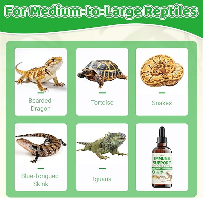 Herbal Supplement for Reptiles – Immune, Respiratory, Appetite & Digestion Support – For Bearded Dragon, Ball Python, Iguana & Tortoise – Alcohol-Free Liquid Drops with Black Seed Oil – 2 fl oz