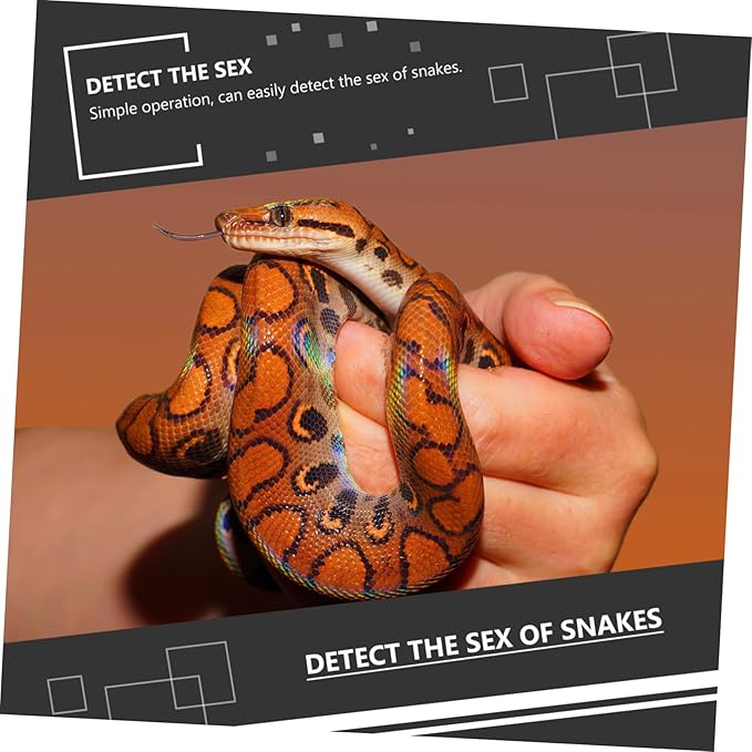 1Set Professional Snake Gender Probe Ergonomic Stainless Steel Gender Detection Tools for Reptiles Easy to Clean and Use for Snake Tank Accessories and Reptile Care